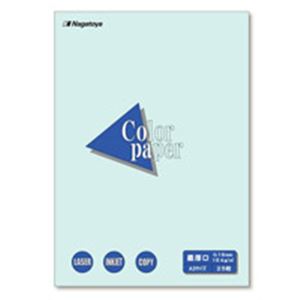 企画書/プログラム/案内状/POP等。印刷用紙 OA用紙 カラー用紙多彩な用途に対応 印刷物からPOPまで、あらゆる場面で活躍するオールインワン紙 (業務用10セット)Nagatoya カラーペーパー