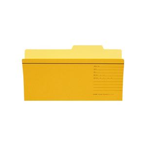 統一伝票用に便利な個別フォルダー TD用フォルダー10冊セット×10でお得 オフィス 事務用 での整理整頓に最適 （まとめ） ライオン事務器個別フォルダー TD用（統一伝票用） TD-IF-R 1セッ