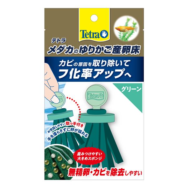 卵の様子がチェックできる・お世話ができる 産卵床卵の成長を見守り、お手入れも簡単 驚くほど便利な産卵スペース メダカの幸せな巣箱 グリーン【×10セット】 緑 （まとめ）テトラ メダカのゆりかご産卵床