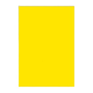 61色の鮮やかな色画用紙。61色の美しい画用紙、八ツ切サイズのニューカラーR ひまわりのような明るさが100枚詰まったセット 創造力を解き放つ、特別な画用紙 （まとめ） 文運堂 ニューカラーR 八ツ切