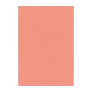 61色の鮮やかな色画用紙。鮮やかなカラーパレット 多彩な色彩を楽しむ61色の特大画用紙 大判サイズでクリエイティブな表現を広げる 文運堂のニューカラーR、八ツ切サイズ271×392mm、サーモンカラー