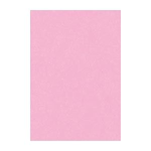 61色の鮮やかな色画用紙。鮮やかなカラーパレット 多彩な色彩が広がる画用紙【2セット】 （まとめ） 文運堂 ニューカラーR 八ツ切 横271×縦392mm 8NCR-234 ときいろ 100枚入 【×