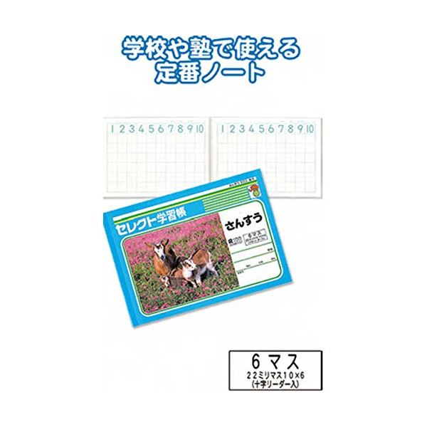 まとめ買いで！節約！お得なまとめ買い お徳用 でお金を節約 学習帳K-1さんすう6マス【10個セット】は、学習効果抜群 計算力を伸ばす最強アイテム 学習帳K-1さんすう6マス 【10個セット】 31-