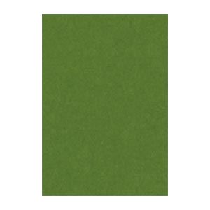 61色の鮮やかな色画用紙。61色の画用紙セット、大判のオリーブカラー、100枚入り、創造力を刺激する色彩の饗宴、さらに豊かな表現を 【×2セット】 （まとめ） 文運堂 ニューカラーR 八ツ切 横271