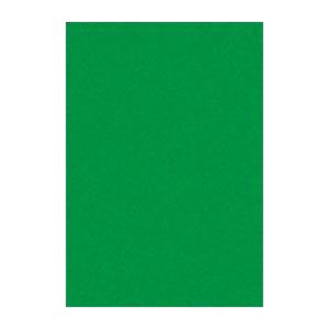 61色の鮮やかな色画用紙。鮮やかなカラーパレットの画用紙、八ツ切サイズで大迫力のニューカラーR、みどりの100枚入り2セットでお得 61種類の鮮やかな色彩で創造力を刺激し、クリエイティブな表現を実現す