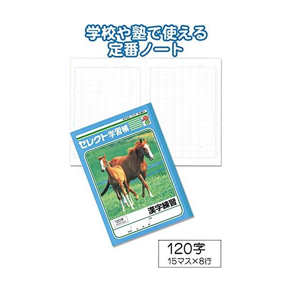 まとめ買いで！節約！お得なまとめ買い お徳用 でお金を節約 120字の漢字練習がたっぷり詰まった学習帳【10個セット】 学習帳K-50-3漢字練習 120字 【10個セット】 31-366◇関連： 生