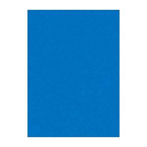 61色の鮮やかな色画用紙。鮮やかなカラーパレット 多彩な色彩が広がる画用紙 四ツ切サイズで大迫力 横392×縦542mm 100枚入り あおい色 【×2セット】 （まとめ） 文運堂 ニューカラーR 四