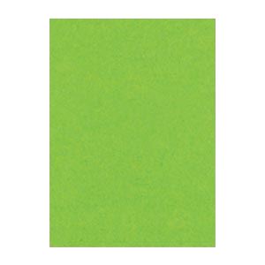 61色の鮮やかな色画用紙。鮮やかなカラーパレット 多彩な色彩が広がる画用紙 四ツ切サイズで大迫力 392×542mmのニューカラーR こいきみどりの100枚入り 2セットでお得 （まとめ） 文運堂 ニ