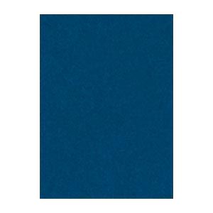 61色の鮮やかな色画用紙。鮮やかなカラーパレット 多彩な色彩が広がる画用紙 四ツ切サイズで大迫力 392×542mmのニューカラーR あいいろ100枚入り 2セットでお得 （まとめ） 文運堂 ニューカ