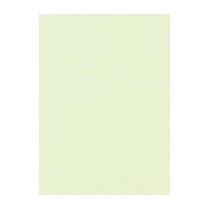 61色の鮮やかな色画用紙。鮮やかな61色の色画用紙、大判四ツ切サイズで広々描画領域、メロンの爽やかな色合いが100枚入り、創造力を刺激するニューカラーR 2セットでさらにお得 限定、4NCR-133を
