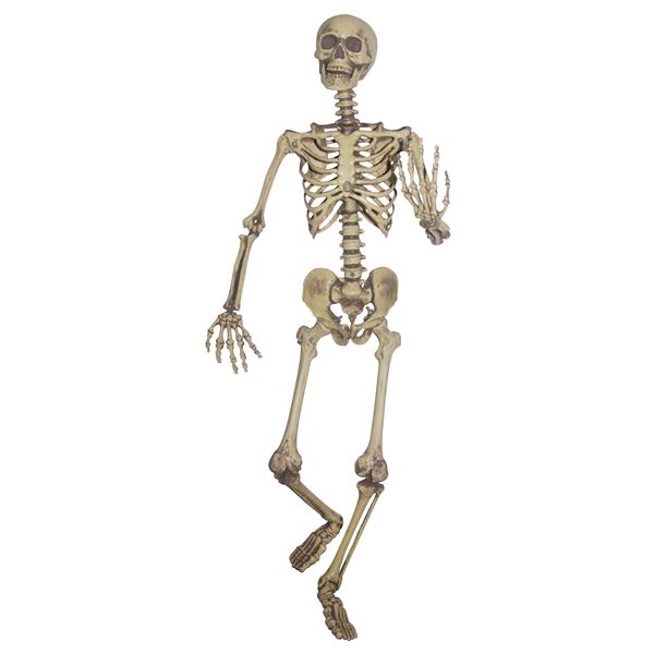 SUNSTAR Pose ＆ Hold Skeleton（ポーズ＆ホールド等身大のスケルトン） 送料無料