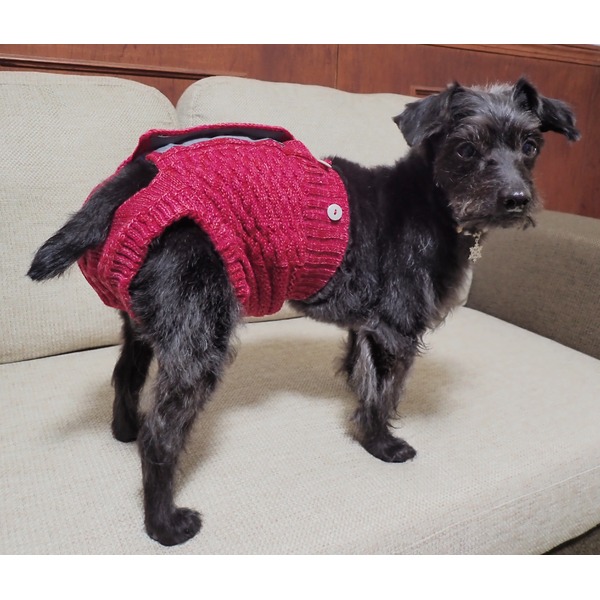 おしゃれなパンツに見える犬用おむつカバー！おむつズレ防止おしゃれなペット用パンツ風おむつカバー ズレ知らずのマナーおむつカバーパンツ LLサイズ、ピンク色で愛犬もおしゃれに マナーおむつ用カバーパンツ