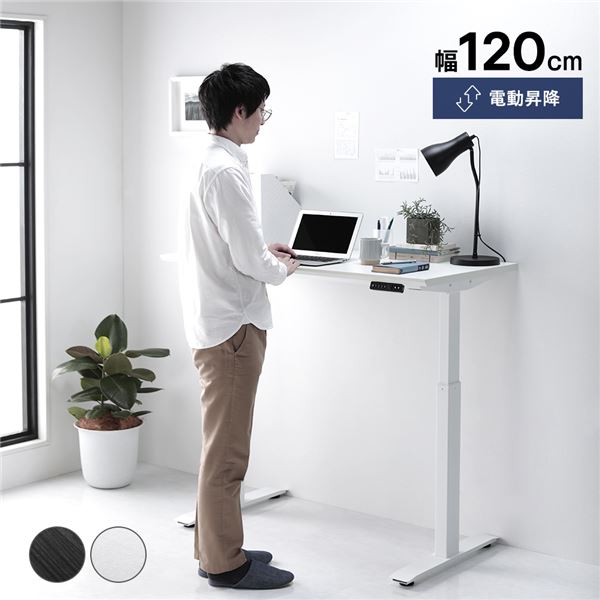 昇降 デスク (テーブル 机) 幅120cm ホワイト 電動 高さ調整可 メモリー機能付き 組立品 昇降式テーブル 机 テレワーク 在宅ワーク リモ