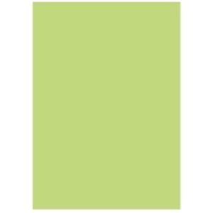 北越製紙 カラーペーパー/リサイクルコピー用紙 【A4 500枚×5冊】 日本製 国産 グリーン(緑) 緑 送料無料
