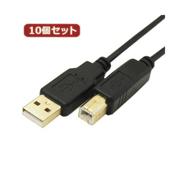 変換名人 10個セット 極細USBケーブル 配線 Aオス-Bオス 3m USB2A-B／CA300X10 送料無料