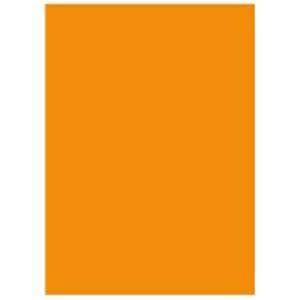 (業務用10セット) 北越製紙 カラーペーパー/リサイクルコピー用紙 【A3 500枚×3冊】 日本製 国産 オレンジ 送料無料
