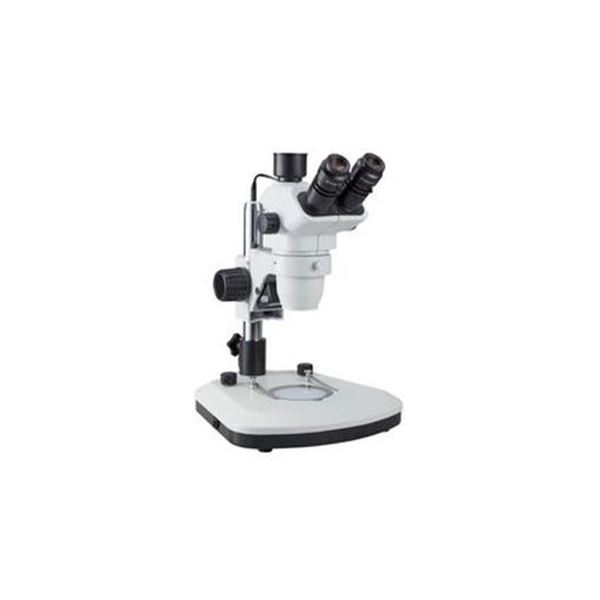 ケニスズーム式実体顕微鏡 TF50-T 進化した観察力 驚異のズーム機能搭載実体顕微鏡 TF50-TX 送料無料