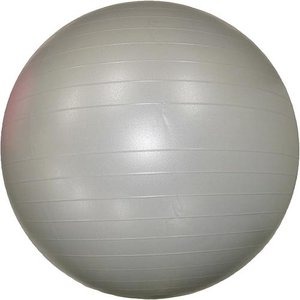【8個セット】エクササイズボール 75cm シルバー 究極のフィットネスボール 驚異の大型ボール 75cm シルバー【8個セット】 送料無料